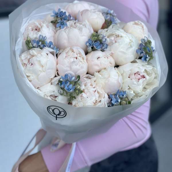 Bouquet of pale pink peonies with small blue flowers wrapped in white paper