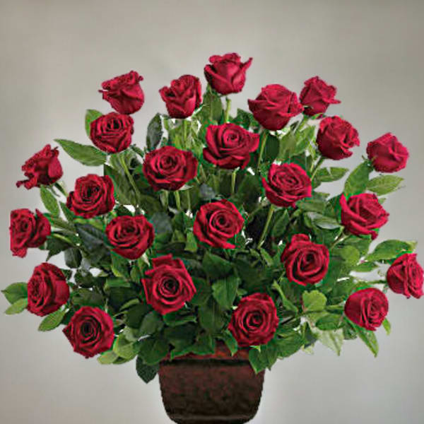 Red roses arranged in a dark pedestal vase