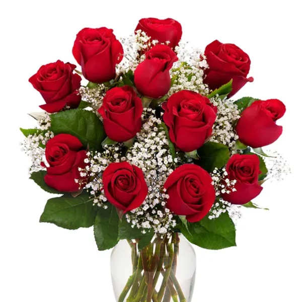Red roses arranged in a clear glass vase with baby's breath