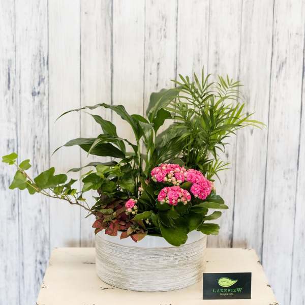 Potted plant arrangement with pink flowers in a white container