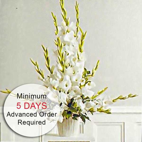 Tall arrangement of white flowers with long spikes in a white urn-style vase