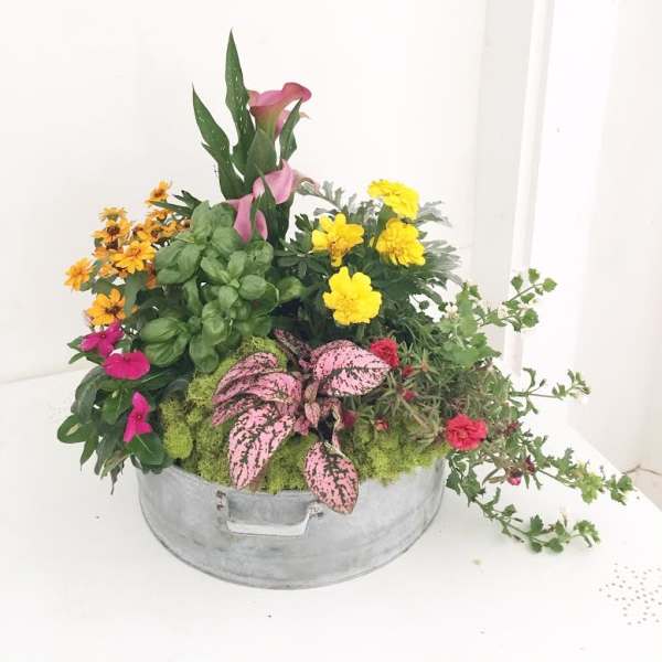 Early Spring Garden Planter