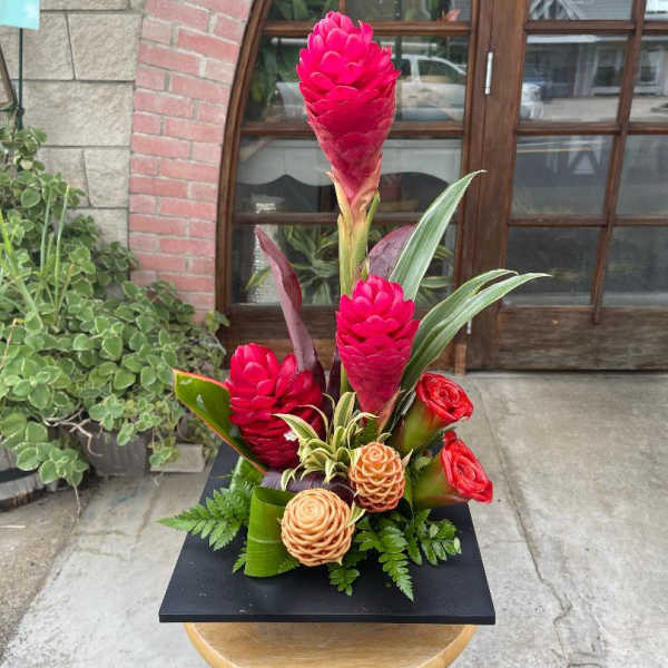 Paradise Found-designers choice traditional