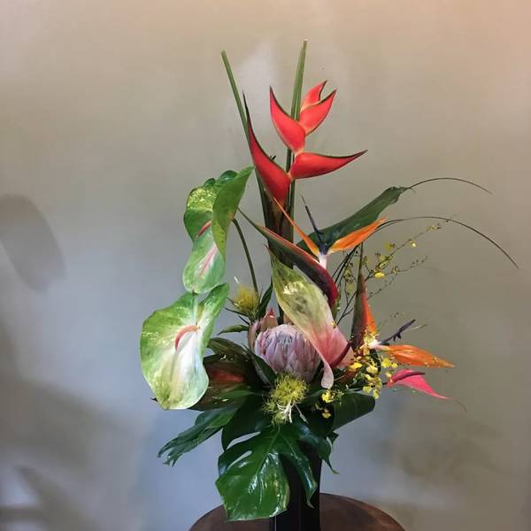 #49 TROPICAL PARADISE