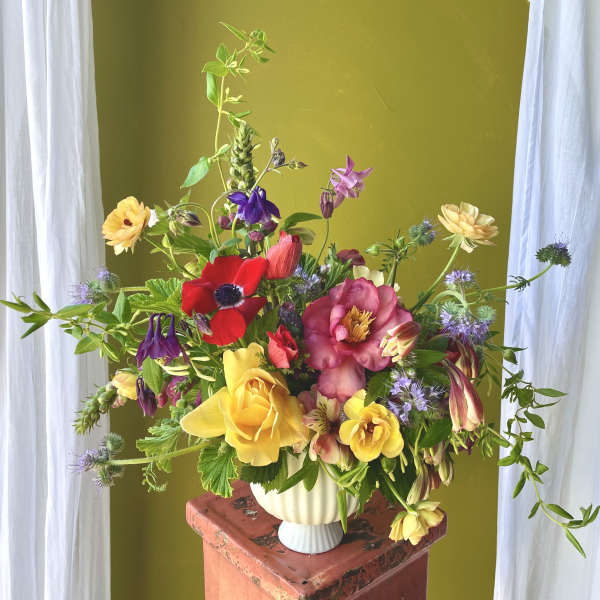 Colorful Designer's Choice