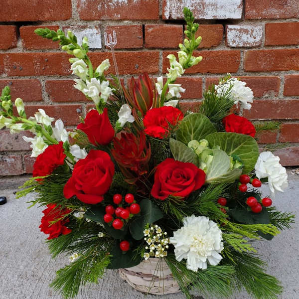 Basket arrangement of red roses and white carnations with pine greenery