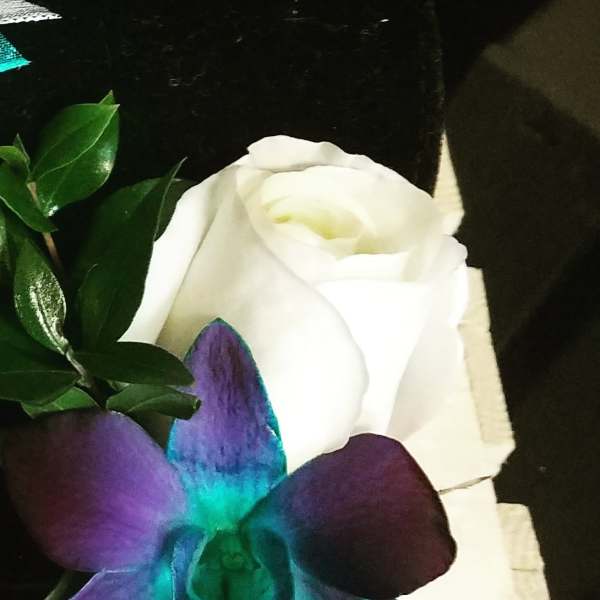 White rose with a purple orchid accent in a black box