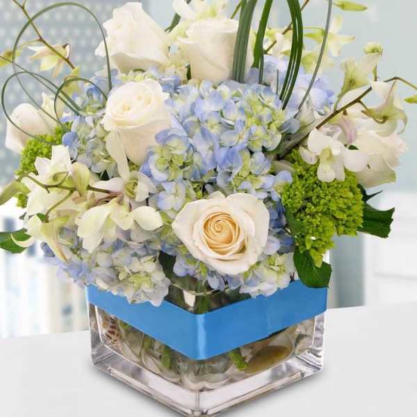 White roses and blue hydrangeas in a clear square vase with a blue band