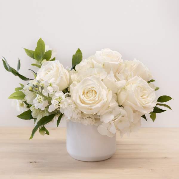 White roses and hydrangeas arranged in a white vase