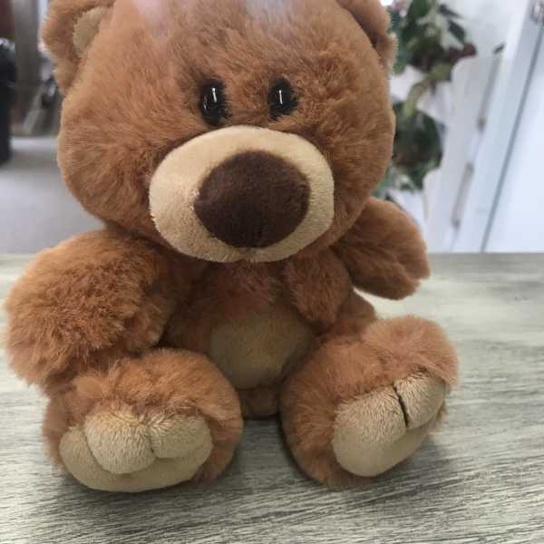 Brown plush teddy bear sitting on a tabletop