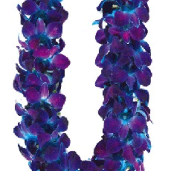 Purple and blue flower lei on a white background