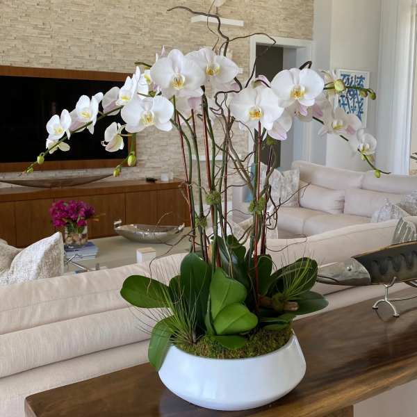 White orchid arrangement in a white bowl planter