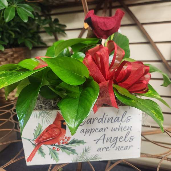 Potted plant with red ribbon and cardinal-themed sign