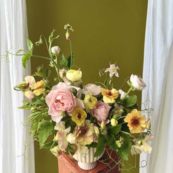 Soft Designer's Choice