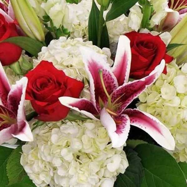 Red roses and pink lilies arranged with white hydrangeas