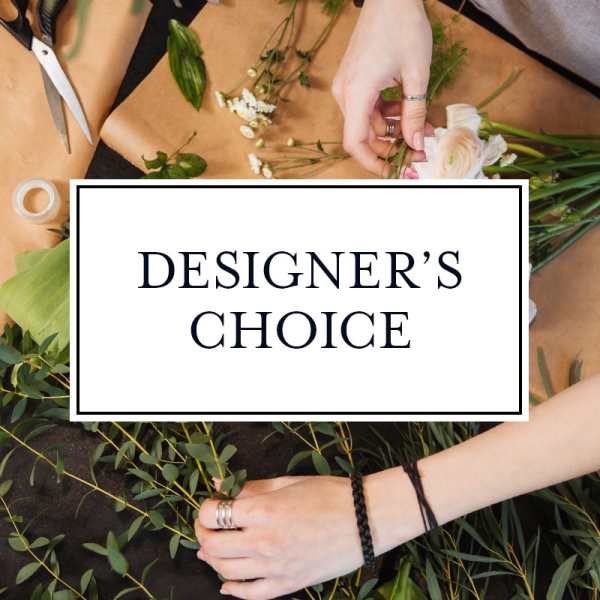 Designers Choice