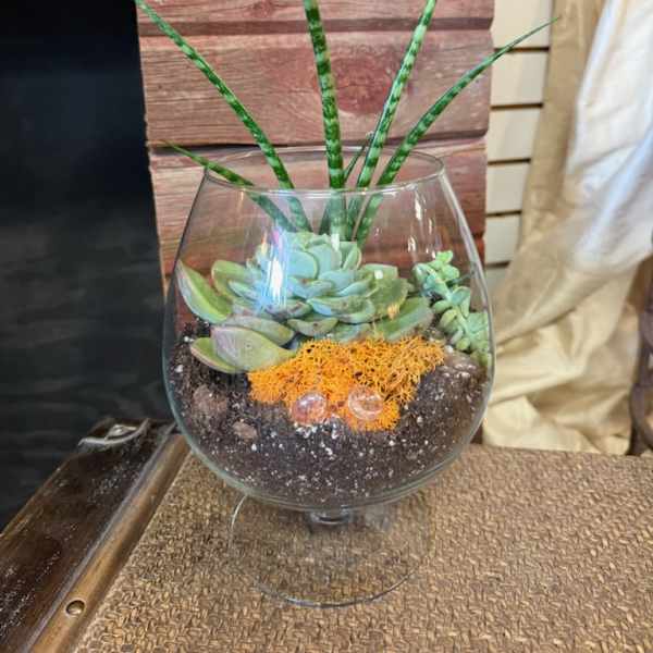 Succulent arrangement in a glass bowl with tall striped leaves