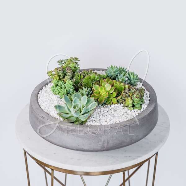 Succulent arrangement in a round gray bowl with white pebbles