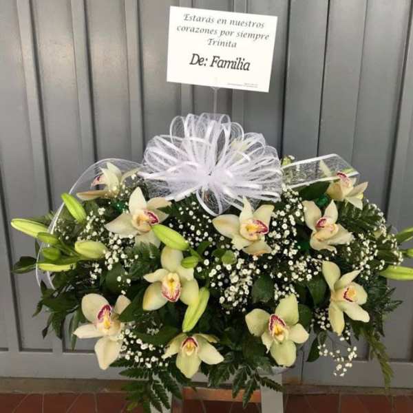 Funebre de parte de familia