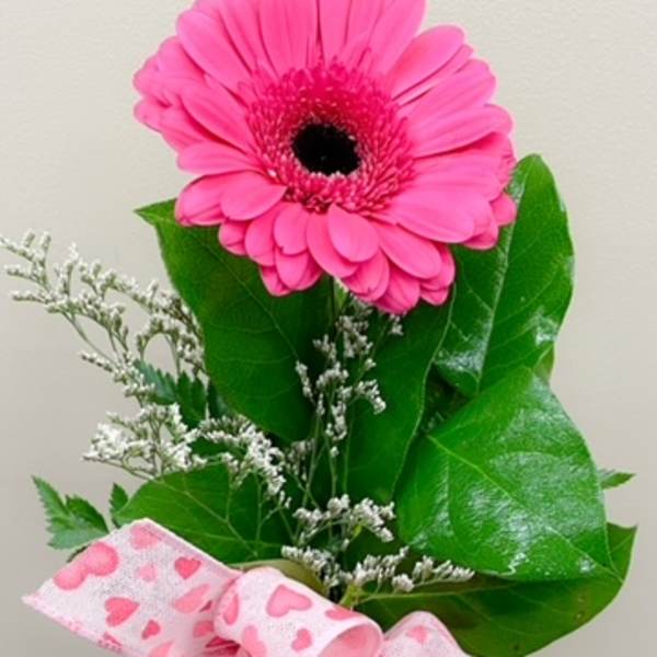 Pink gerbera daisy in a glass vase with a heart-patterned ribbon