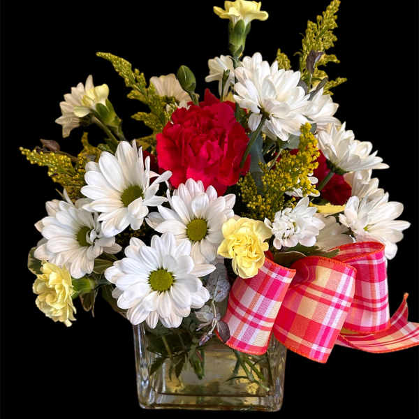 Bouquet of white daisies and red carnations in a glass vase with plaid ribbon
