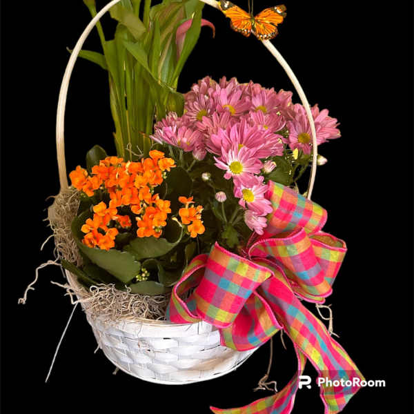 Basket arrangement with pink daisies, orange flowers, and calla lilies
