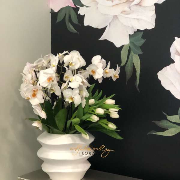 White orchid arrangement in a white vase
