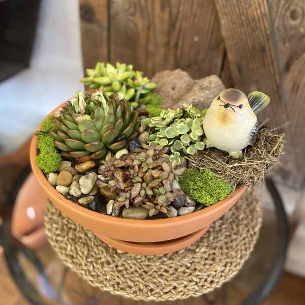 Succulent dish garden in a terracotta pot with a small bird figurine perched in a nest.