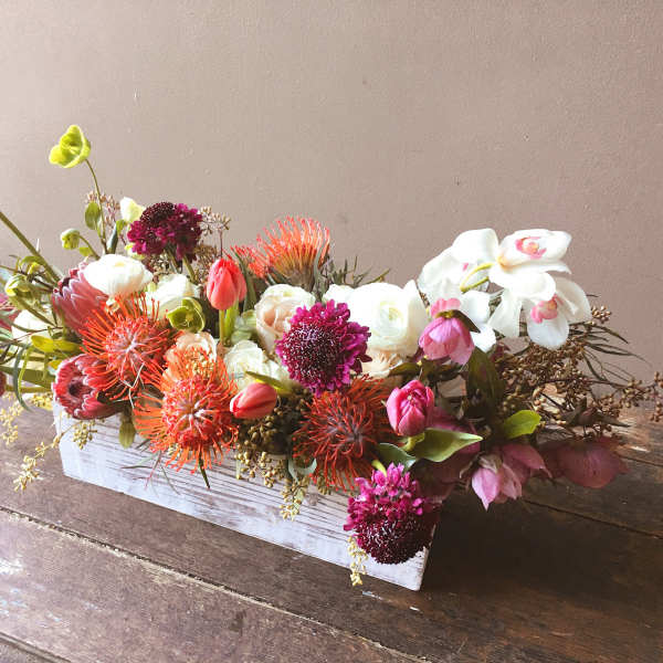 Razu (Gallery Photo)