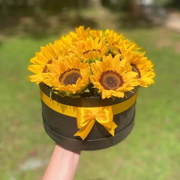Sunflower arrangement in a black round box with a yellow ribbon