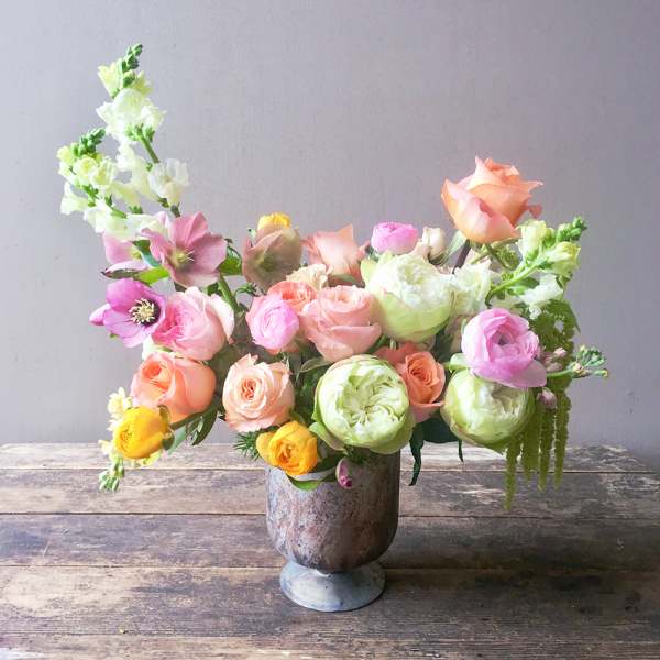 Veronique (Gallery Photo)