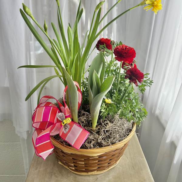 Spring Bulb Basket