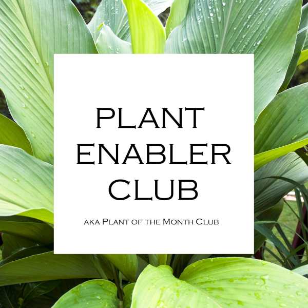 White sign over a background of large green plant leaves