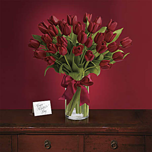 Bouquet of dark red tulips in a clear glass vase with a ribbon