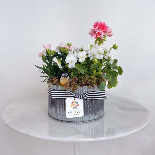 Oval galvanized planter with pink and white flowering plants, moss, and a small bird figurine with striped ribbon.