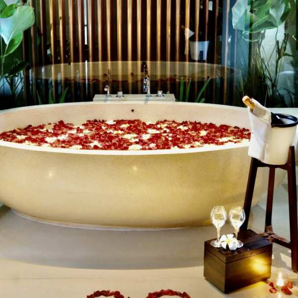 L'amour Roses Petals