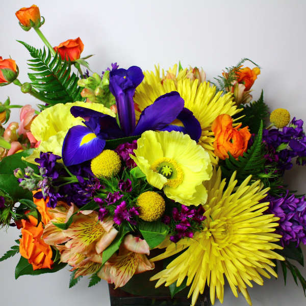 Colorful bouquet with yellow, purple, orange, and pink flowers