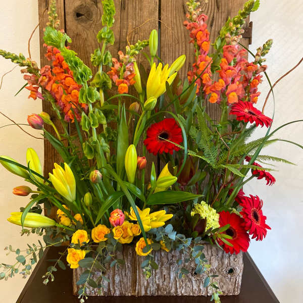 Tall rustic arrangement of yellow lilies, red gerbera daisies, and orange snapdragons in a bark-covered rectangular box