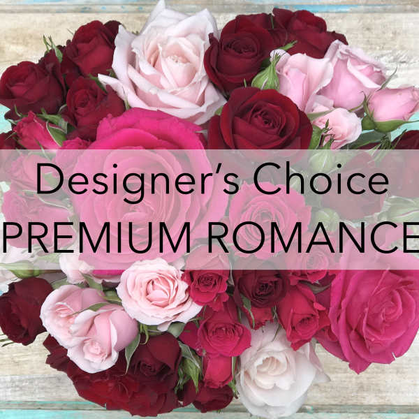 Premium DC Romance $250-$350