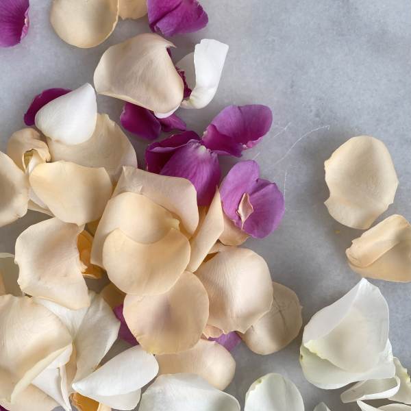 Scattered cream, white, and magenta rose petals on a gray surface