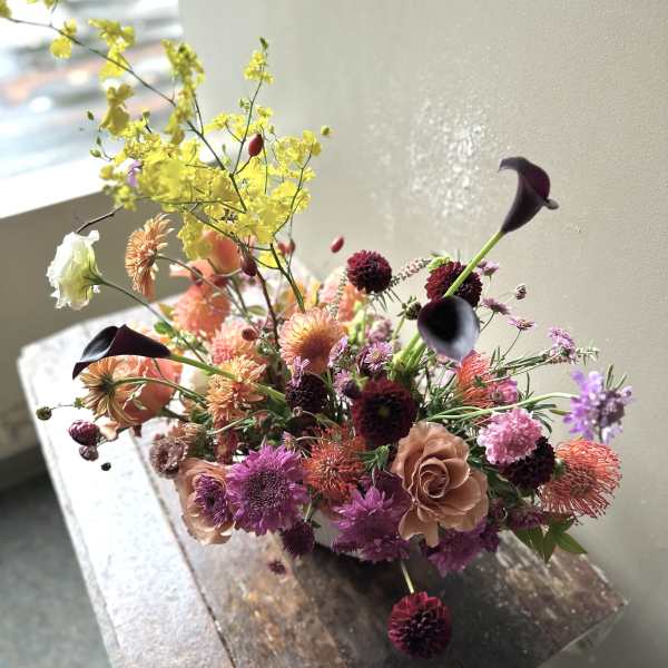 Zaanse (Gallery Photo)