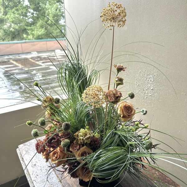 Rijen (Gallery Photo)