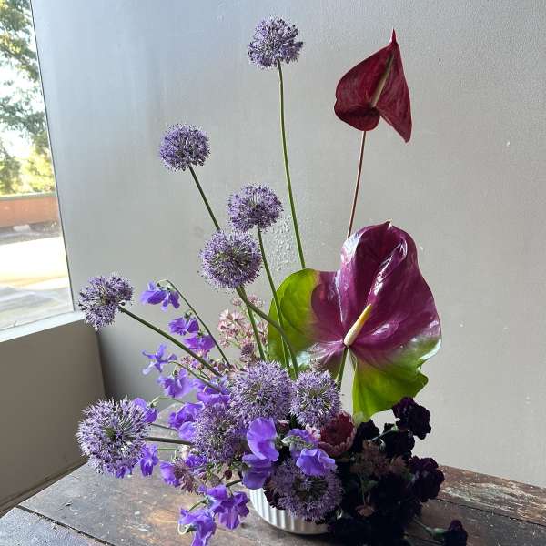 Sarang (Gallery Photo)