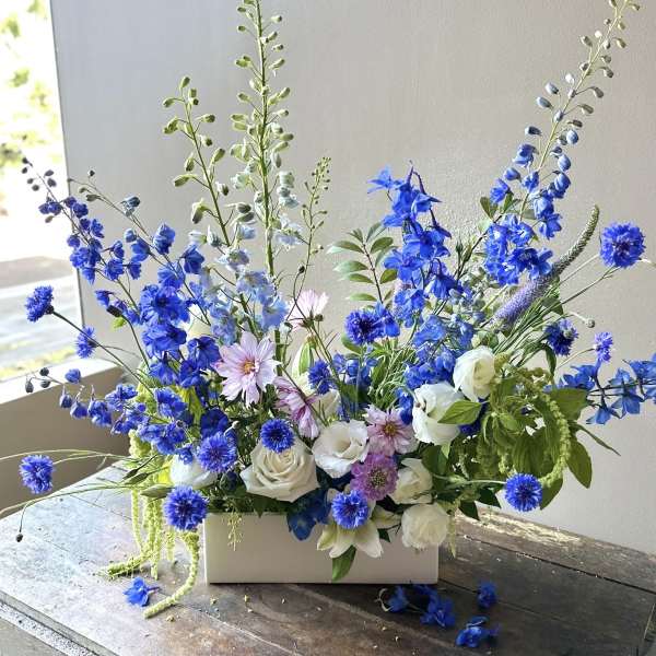 Auden (Gallery Photo)