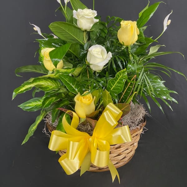 Basket arrangement of yellow and white roses with white peace lilies