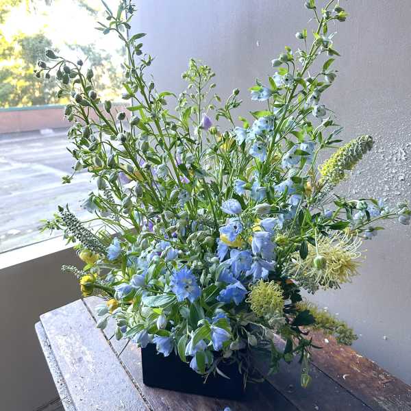 Delph (Gallery Photo)