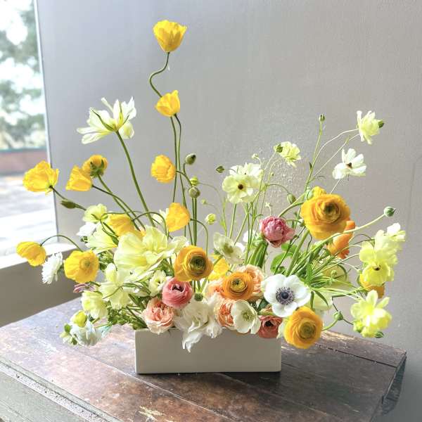 Noran (Gallery Photo)