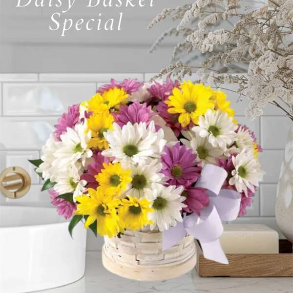 Daisy Basket Special