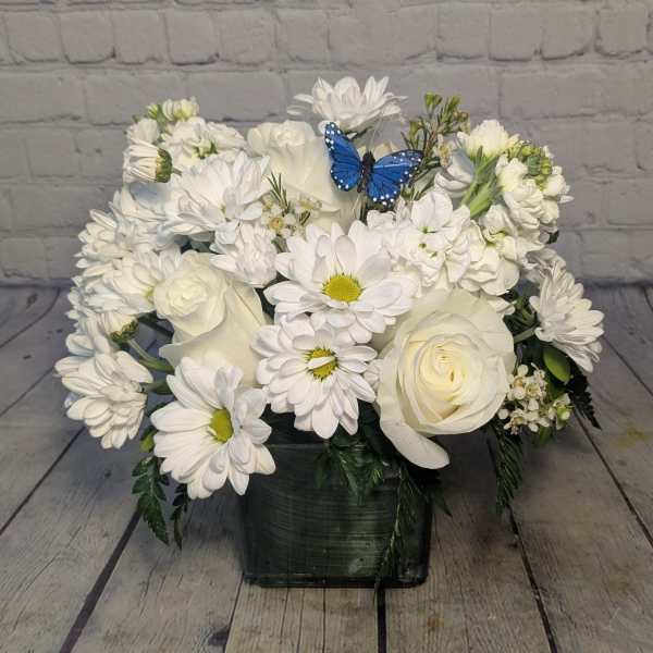 White roses and daisies arranged in a square vase with a blue butterfly accent.