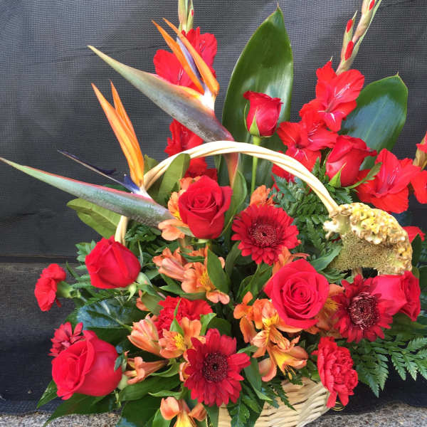 Basket arrangement of red roses, red gerberas, and orange tropical flowers